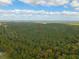 Aerial view of a wooded lot perfect for a private home at 112 Canewood Ln, Ridgeville, SC 29472