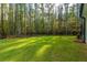 Large backyard with lush green grass and wooded area at 112 Canewood Ln, Ridgeville, SC 29472