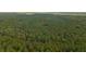 Aerial view of property showing wooded area at 112 Canewood Ln, Ridgeville, SC 29472