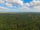 Aerial view of property showing wooded area at 112 Canewood Ln, Ridgeville, SC 29472