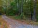 Gravel road leads into a quiet wooded area at 112 Canewood Ln, Ridgeville, SC 29472