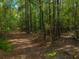 Peaceful wooded path leading through lush forest at 112 Canewood Ln, Ridgeville, SC 29472