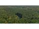 Aerial view of home nestled in a vast wooded area at 112 Canewood Ln, Ridgeville, SC 29472