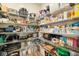 Well-organized pantry with ample shelving for storage at 112 Canewood Ln, Ridgeville, SC 29472