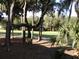 Lush green backyard with mature trees and golf course view at 265 Sea Cloud Cir, Edisto Island, SC 29438