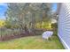Peaceful backyard with a white bench and a sprawling tree at 805 Tupelo Bay Dr, Mount Pleasant, SC 29464