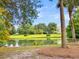 Serene pond with lush landscaping and a tranquil atmosphere at 805 Tupelo Bay Dr, Mount Pleasant, SC 29464