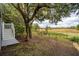Landscaped backyard with large tree and marsh views at 5250 Timber Race Crse, Hollywood, SC 29449