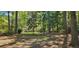 Wooded backyard with a partially cleared area at 141 Kersey Ter, Goose Creek, SC 29445