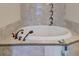 Oval soaking tub with tiled surround and accent mosaic at 106 Aviary Ct, Summerville, SC 29483