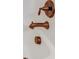 Elegant copper bathroom faucet and fixtures at 106 Aviary Ct, Summerville, SC 29483