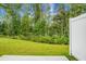 Spacious backyard with green lawn and white privacy fence at 171 Rosefield Ct, Summerville, SC 29485