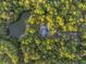 Bird's eye view of house near a pond and surrounded by trees at 4028 Gnarled Oaks Ln, Johns Island, SC 29455