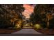 Long driveway leading to a home nestled in a wooded area at 4028 Gnarled Oaks Ln, Johns Island, SC 29455