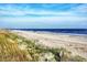 Scenic beachfront view with dunes at 204 Michigan Ave # D2, Folly Beach, SC 29439