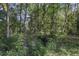 Wooded area behind home, offering privacy and natural beauty at 443 Lazy Hill Rd, Moncks Corner, SC 29461