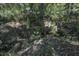 Serene creek on property, surrounded by lush greenery at 443 Lazy Hill Rd, Moncks Corner, SC 29461