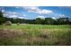 Close up view of cut hay in a field at 0 Tuten Road, Round O, SC 29474