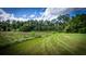 Open field with tall grass and trees in the background at 0 Tuten Road, Round O, SC 29474