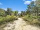 Sandy path leads to a home with a fenced backyard at 200 Wappoo Rd, Charleston, SC 29407