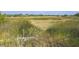 View of marsh grasses and water at 200 Wappoo Rd, Charleston, SC 29407