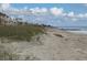 Beachfront view with sandy beach, sea oats, and ocean at 2302 Palmetto Blvd, Edisto Beach, SC 29438
