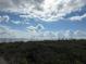 Scenic beach view with sea oats and a partly cloudy sky at 2302 Palmetto Blvd, Edisto Beach, SC 29438