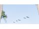 Four pelicans flying in formation against a clear blue sky at 1331 Pelican Watch Villas, Seabrook Island, SC 29455