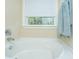 Bathroom with garden tub and window at 4966 Ballantine Drive, Summerville, SC 29485