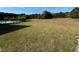 Large backyard with mature trees and some unkempt grass at 204 Charles St, Saint George, SC 29477
