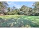 Large grassy backyard with mature trees and a dog house at 1860/1858 Taberwood Cir, Charleston, SC 29407