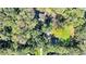 Aerial view showing house location and surrounding trees at 1860/1858 Taberwood Cir, Charleston, SC 29407