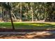 Golf course view with mature trees at 2588 High Hammock Rd, Johns Island, SC 29455
