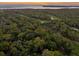 Aerial view of homes nestled in lush greenery near golf course at 2588 High Hammock Rd, Johns Island, SC 29455