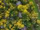 Top-down view of a home surrounded by lush green trees at 2588 High Hammock Rd, Johns Island, SC 29455