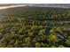 Aerial view of upscale homes nestled in a wooded area near the coast at 2588 High Hammock Rd, Johns Island, SC 29455