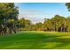 Lush green golf course surrounded by trees at 2588 High Hammock Rd, Johns Island, SC 29455