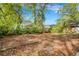 Large backyard with mature trees and a shed at 2674 Houston St, North Charleston, SC 29405