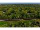 Aerial view of luxury homes nestled in a lush, wooded area near the ocean at 2588 High Hammock Rd, Johns Island, SC 29455