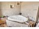 Corner jacuzzi tub with stone surround and built-in shelving at 203 Hickory Nut Drive, Harleyville, SC 29448