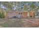 Spacious backyard with mature trees, grassy area and brick exterior at 1839 Manigault Pl, Charleston, SC 29407