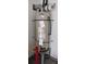 A.O. Smith water heater in the garage at 1450 Coopers Hawk Dr, Hanahan, SC 29410