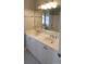 Bathroom with double vanity and mirror at 1450 Coopers Hawk Dr, Hanahan, SC 29410