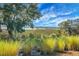 Scenic marsh view with tall grasses and a pier in the distance at 4252 Faber Place Dr # 203, North Charleston, SC 29405
