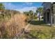 Expansive waterfront lot with tall grasses and a wooden border at 202 Mary St, Edisto Island, SC 29438