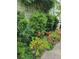 Lush garden with flowering bushes, stone pathway, and bird feeder at 211 Ilderton St, Summerville, SC 29483