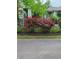 Row of red and pink roses along a fence at 211 Ilderton St, Summerville, SC 29483