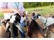 Personal petting goats on a farm, highlighting the agricultural aspect of the property at 9004 Topwater Ln, Johns Island, SC 29455