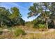 Scenic nature trail winds through lush marsh and oak trees at 9004 Topwater Ln, Johns Island, SC 29455