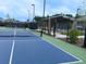 Two well-lit pickleball courts at 104 True Blue, Summerville, SC 29486